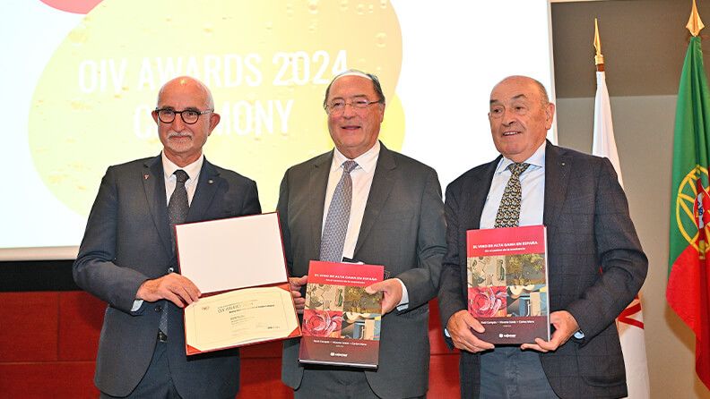 Los coordinadores de la obra Carlos Moro, Raúl Compés y Vicente Sotés recogieron el galardón