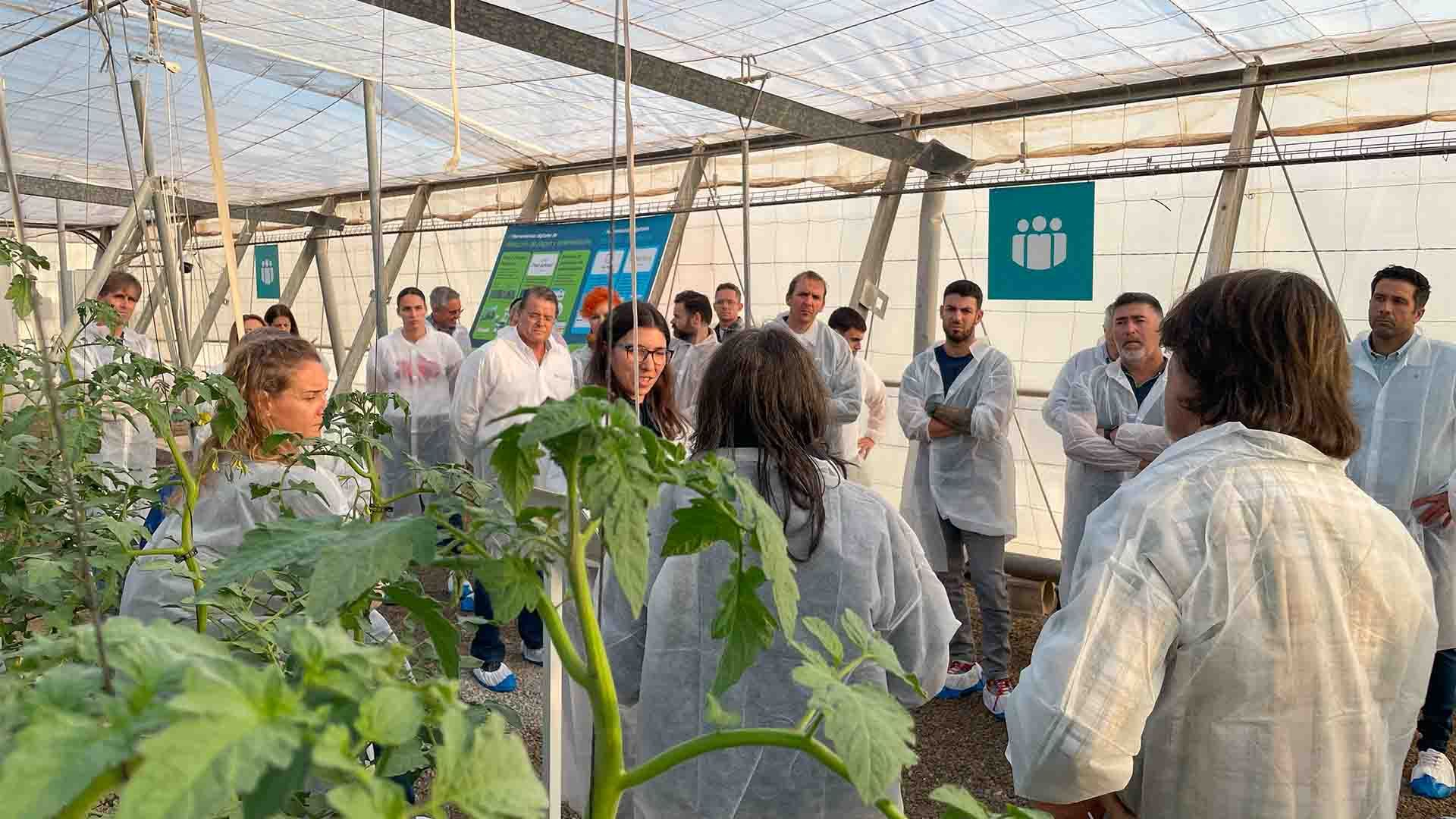 Primera edición del ‘Curso sobre tecnología y digitalización para la producción de cultivos hortícolas en invernadero’