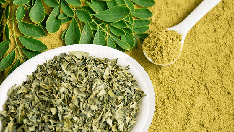 La particularidad de la moringa es su gran cantidad de usos y su gran valor nutricional