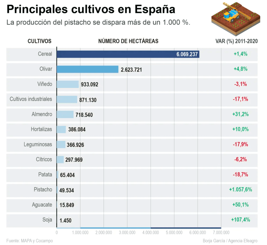 Infografía sobre la superficie de cultivo en España. Efeagro/Borja Garcñia