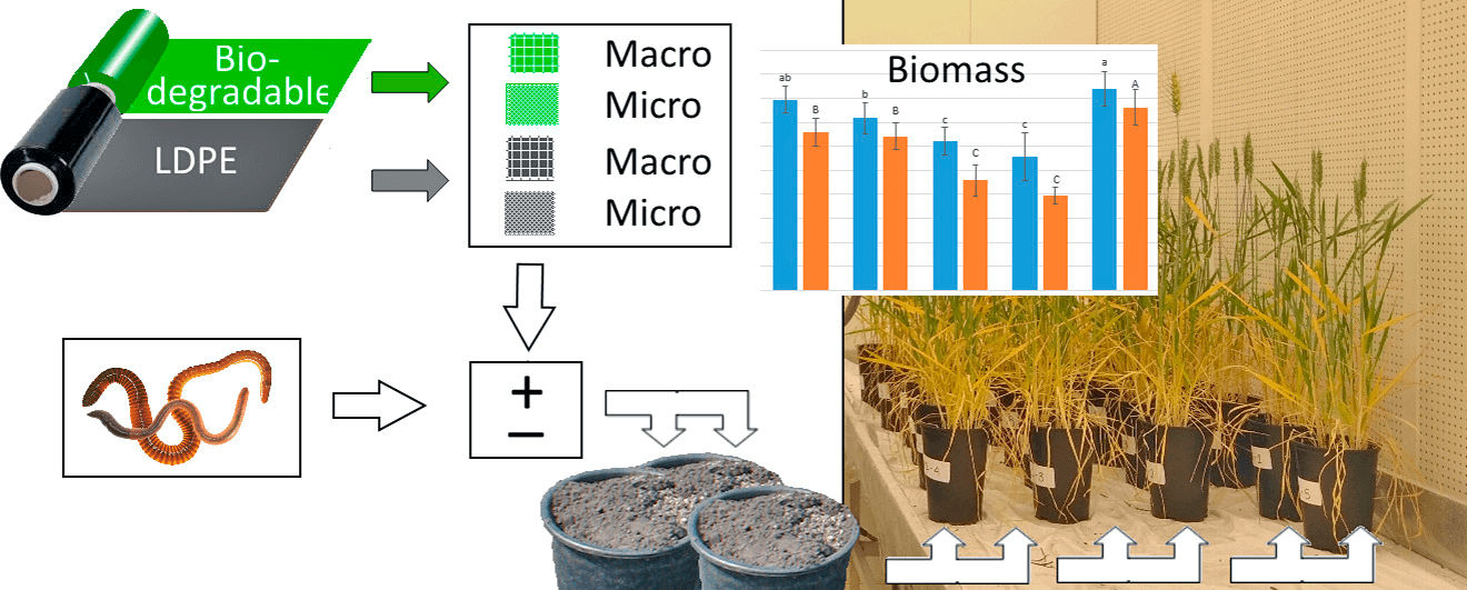 Fuente: Qi et al. (2018).