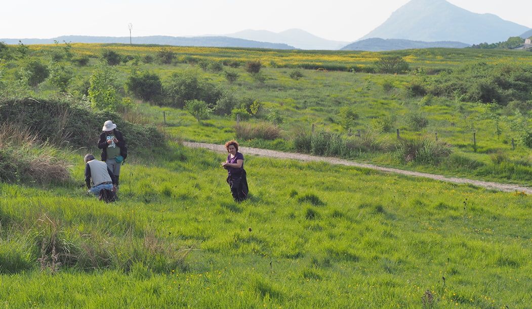 Figura 7: personas recolectan especies silvestres en Navarra.