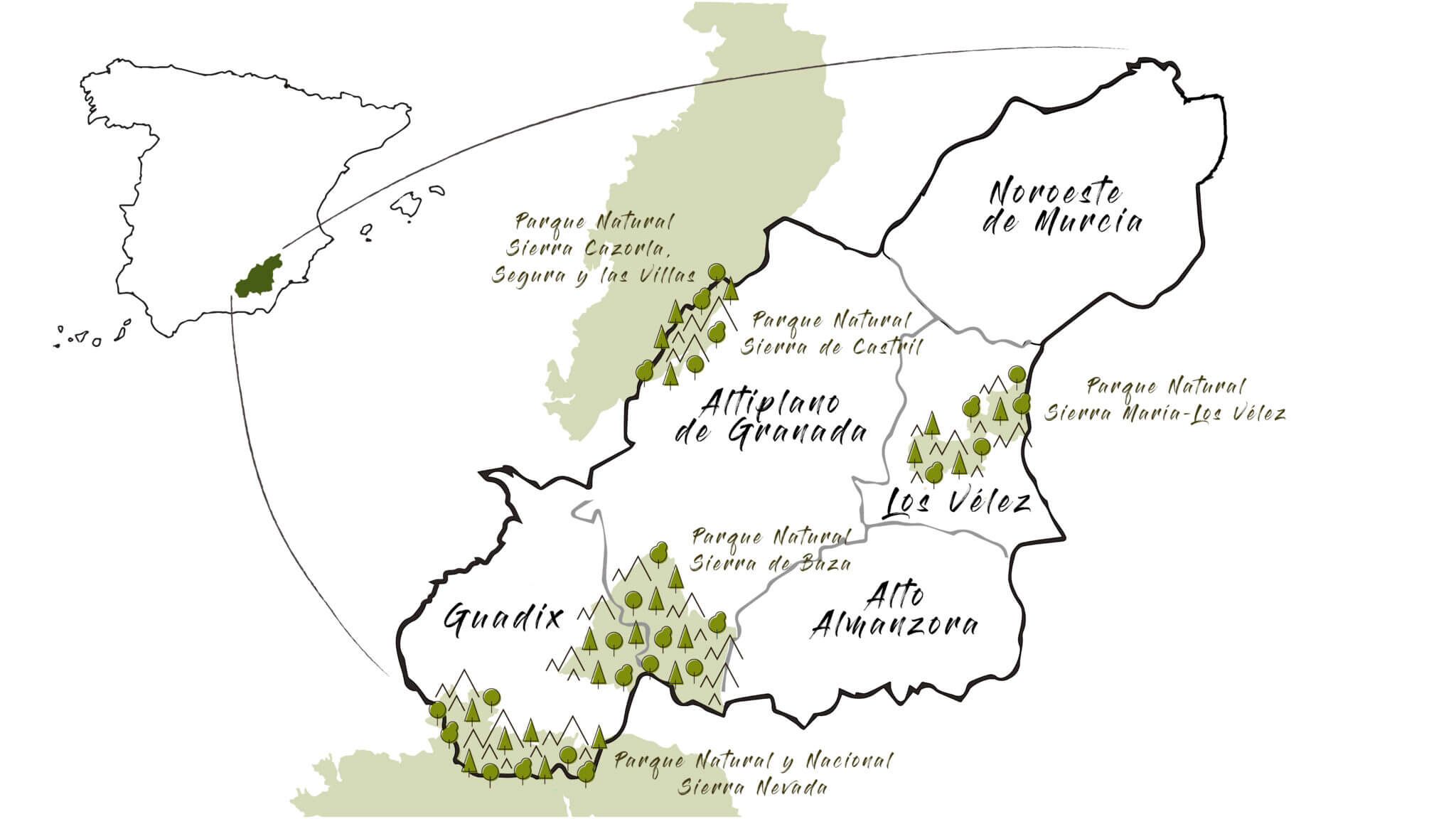 El Territorio AlVelAl