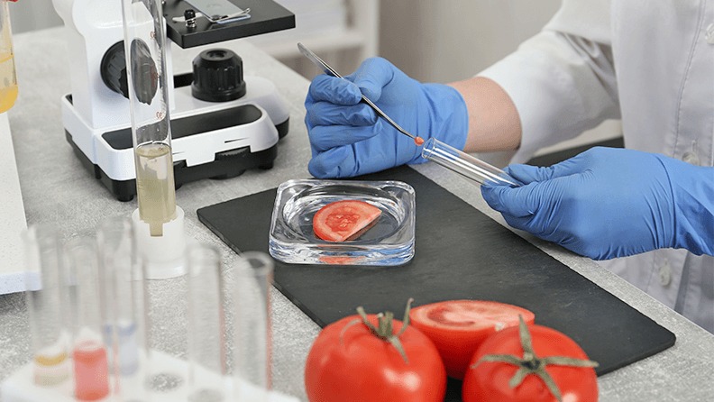 Análisis a una muestra de tomate en laboratorio