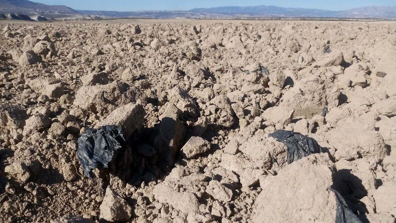 Desechos de plásticos en suelo agrícola de Baza.