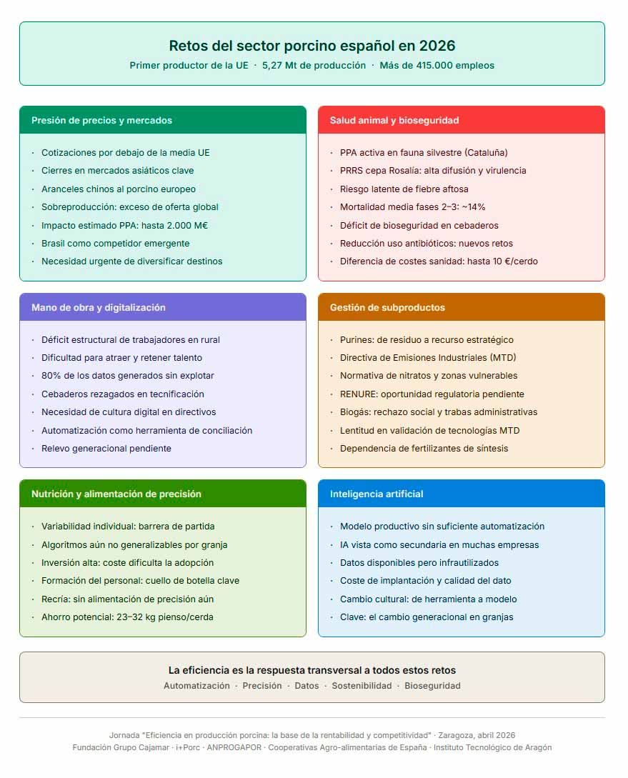 Los retos del sector porcino español identificados en la Jornada