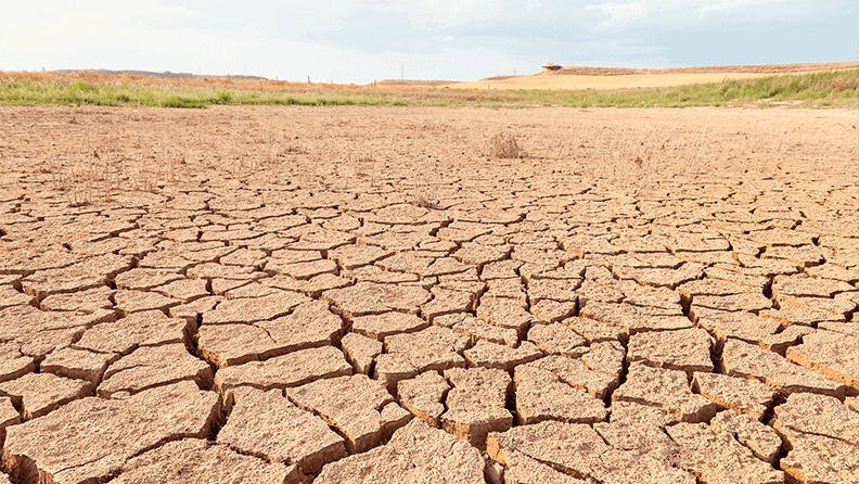 Terreno seco y agrietado en el embalse de Loteta, cerca de la localidad de Gallur en la provincia de Zaragoza, Aragón, España. 