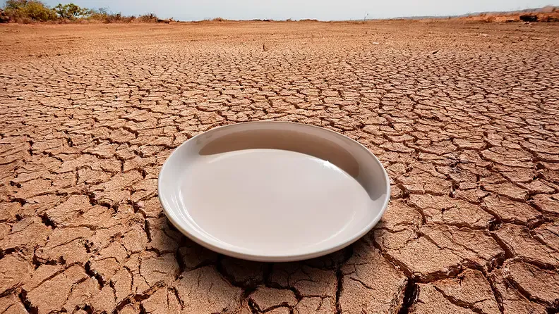 Plato vacío en un campo seco