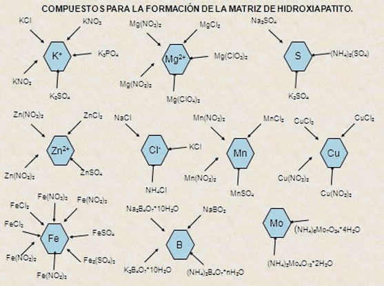 Compuestos para la formación de la matriz de hidroxiapatito.