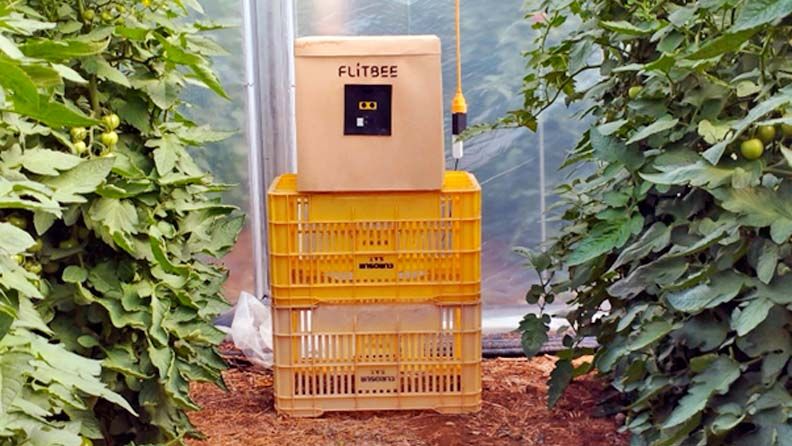 Tecnología de FlitBee a pie de campo.