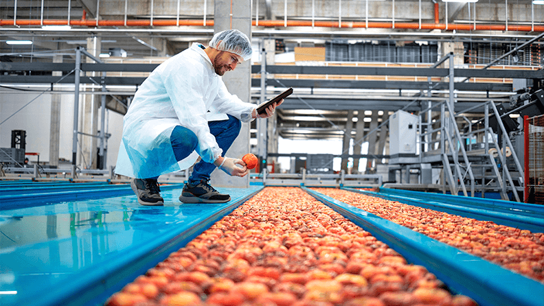 Aplicación de la tecnología para el control de calidad de la producción de manzanas 