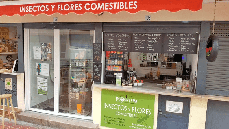 Tienda que vende insectos en Valencia. Efeagro/Insectum