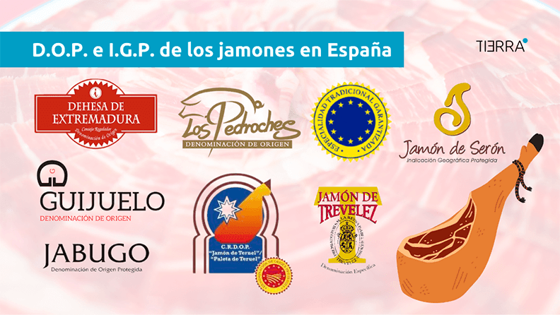 web-tipos-jamon-iberico-serrano2 (1).png