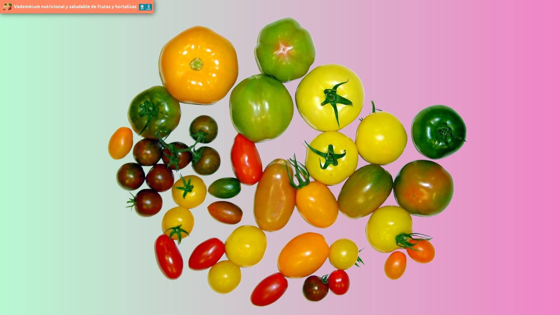 Tomates de diferentes colores y tamaños en disposición circular.