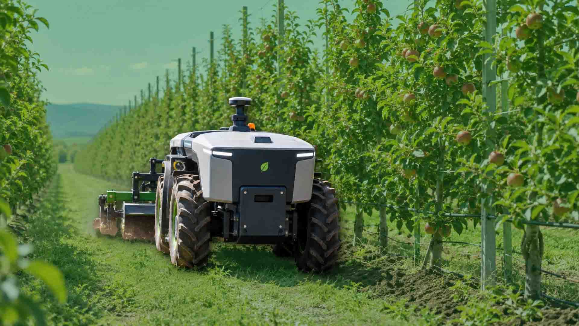 Tractor autónomo cultivando hortalizas en un invernadero moderno lleno de vegetación.