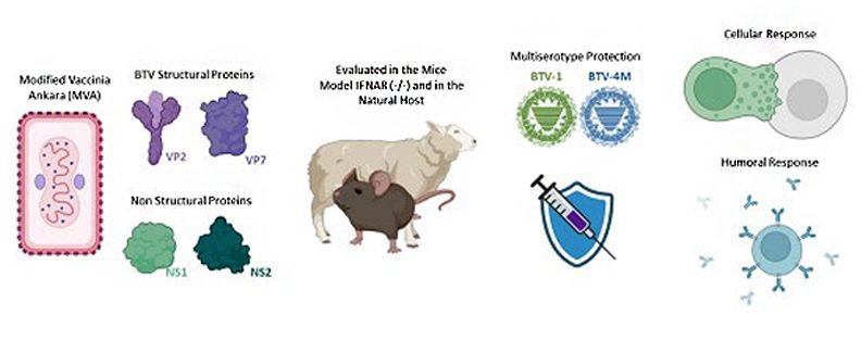 Infografía del Centro de Investigación en Sanidad Animal (CISA) del INIA-CSIC.