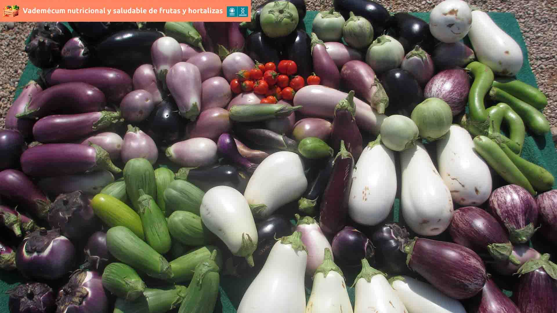 Variedades de berenjena cosechadas en el Centro de Experiencias Cajamar.