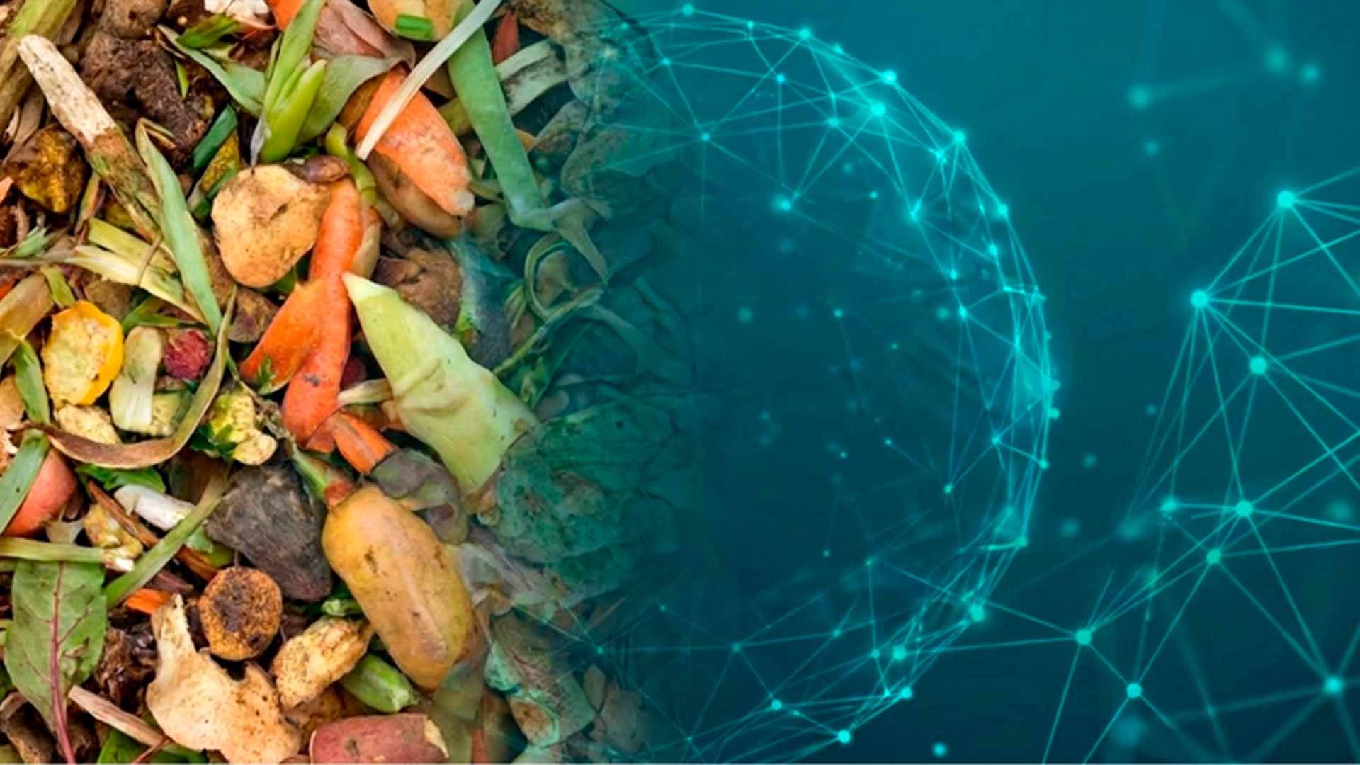 La imagen muestra un montón de restos de comida y una red neuronal en cian.