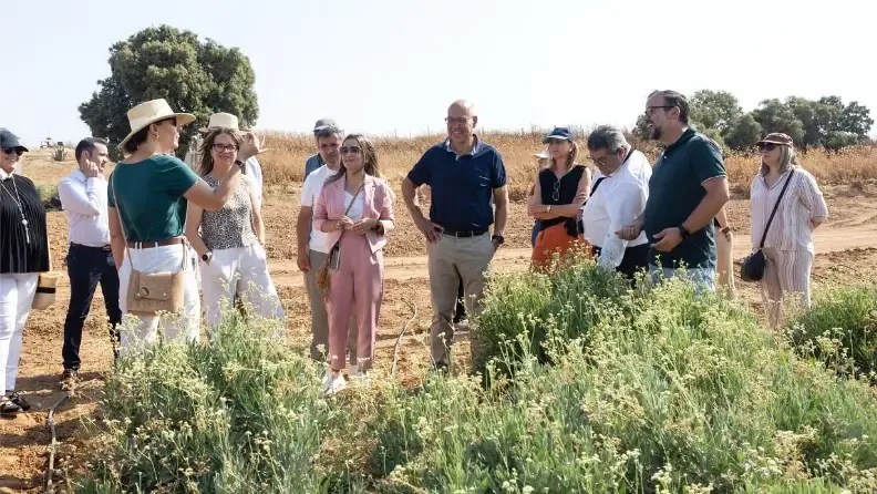 Visita a plantación de guayule en Santa Cruz de la Zarza (Toledo). Fuente: Gobierno de Castilla-La Mancha.