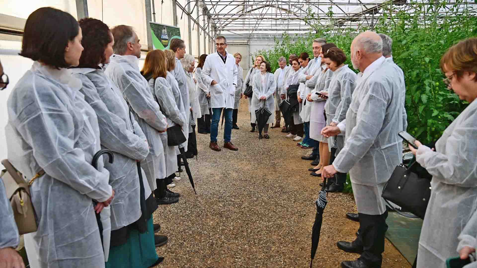 Visita a los ensayos de la Estación Experimental Cajamar 'Las Palmerillas'.