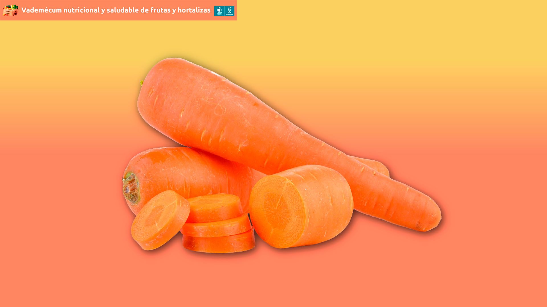 Zanahorias frescas, enteras y en rodajas, sobre fondo naranja, parte de un vademécum nutricional.