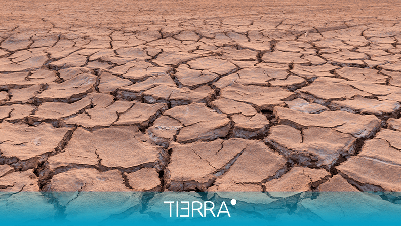 La tensión y la escasez del agua aumentan en Europa, bajo un mayor ...