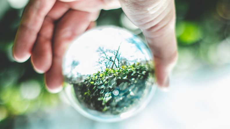 Desarrollo de la bioeconomía