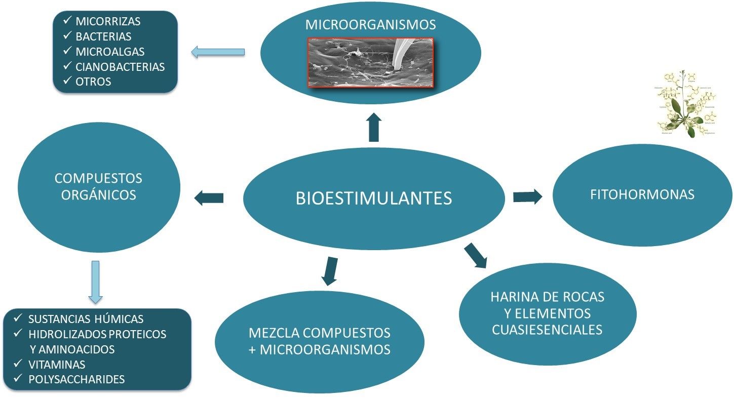 bioestimulantes, esquema de qué lo conforman, tipos y variaciones de bioestimulantes