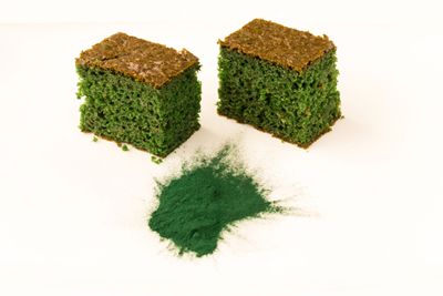 bizcocho de spirulina, uso de microalgas para alimentación