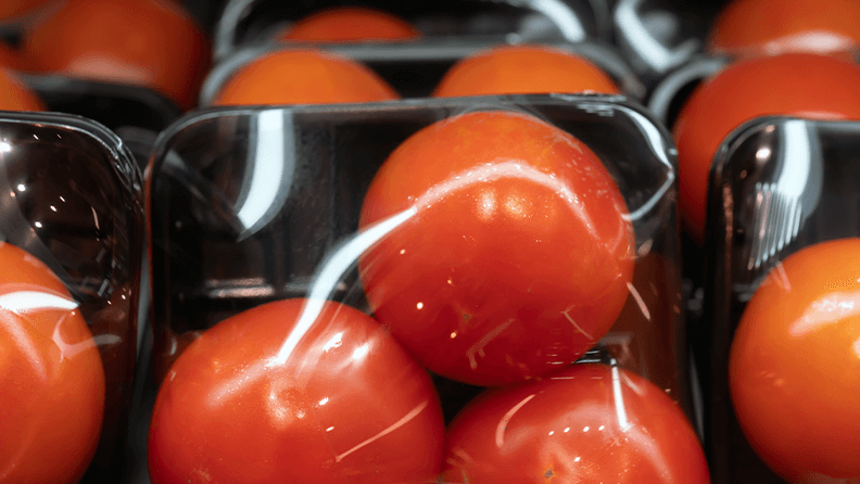 El viaje de un tomate (II)