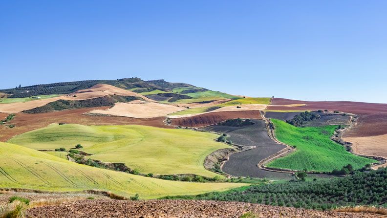 Campo cultivado, diferentes cultivos vistos desde lejos, paisaje agrario