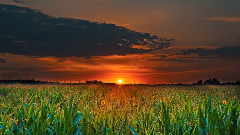 Análisis de suelo agua planta y su aplicación en nutrición de cultivos