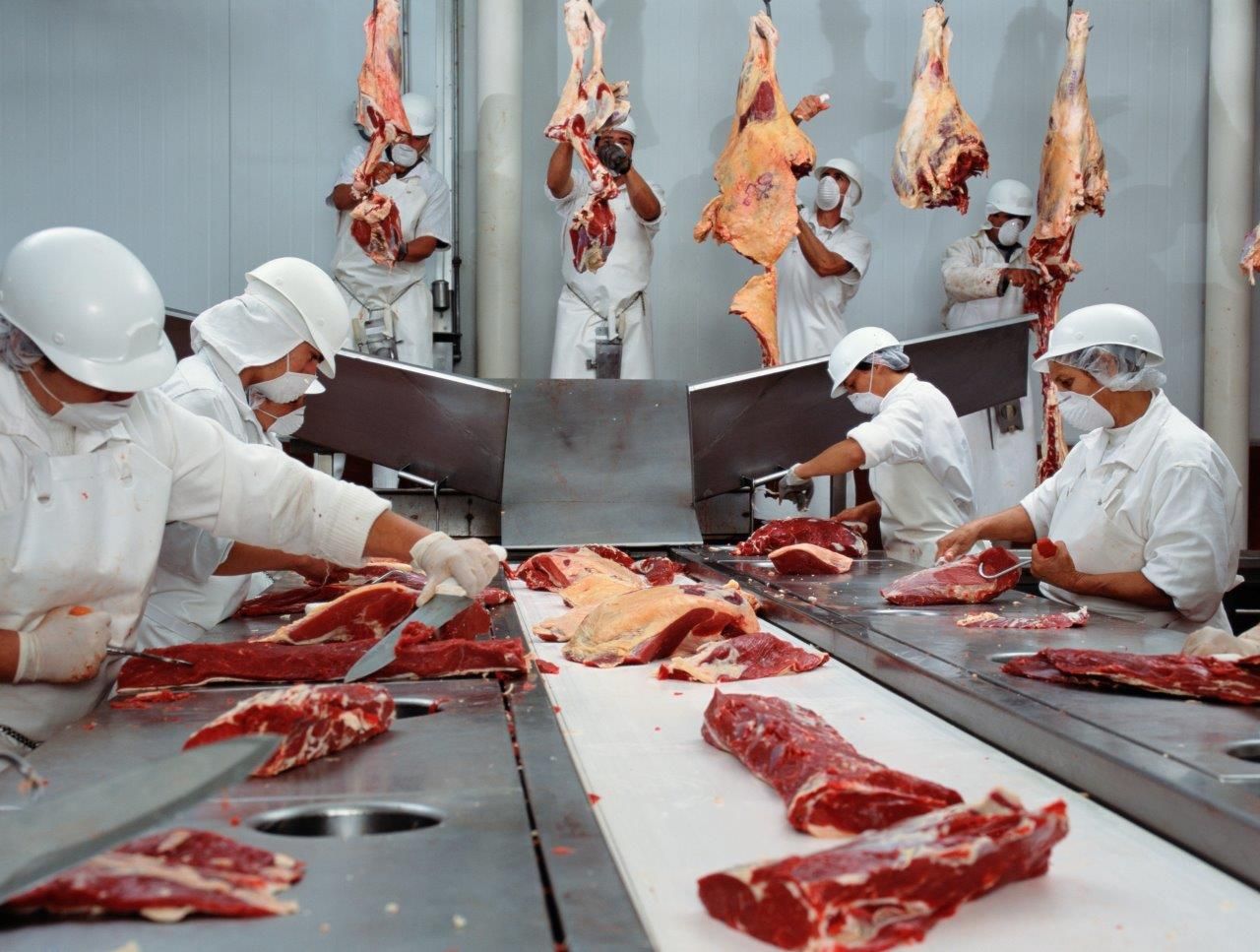 Carniceros despiezando carne de vaca en una sala