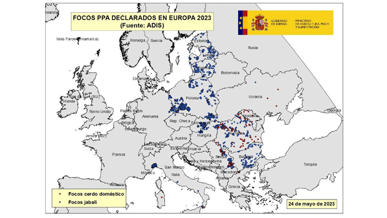 Focos de PPA declarados en Europa en 2023