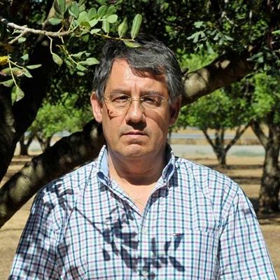 Joan Tous Joan Tous