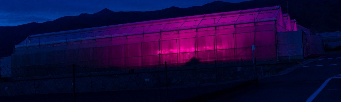 Foto nocturna de un invernadero con luz artificial vista desde fuera