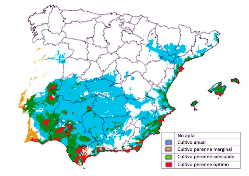 Mapa de España marcando las zonas donde se cultiva la moringa