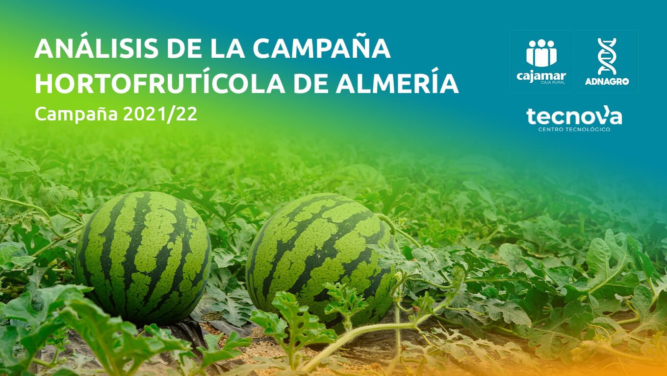 Presentación del Informe de Campaña Hortofrutícola de Almería 2021/22 de Cajamar