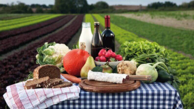 Sector agroalimentario español en el contexto europeo 2018