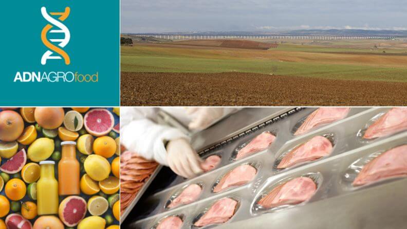 Análisis sintético del sector agroalimentario de la Región de Murcia