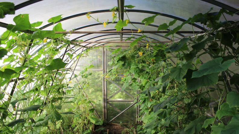 ventilación natural en invernaderos, avances sobre estudios realizados