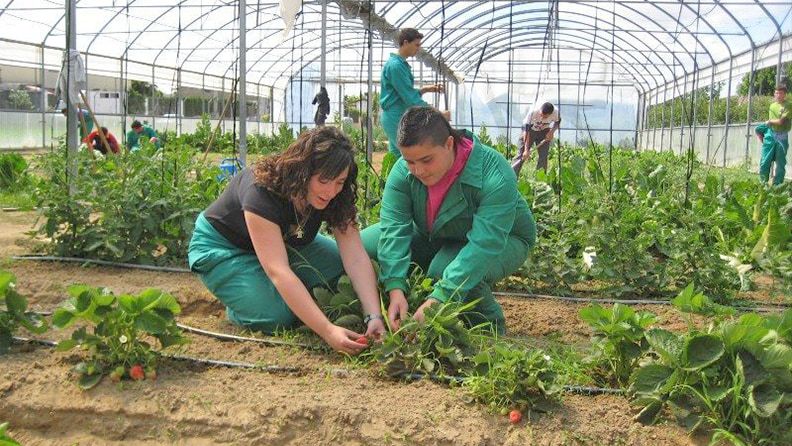 Alumnos en un curso de capacitación agraria. EFEAGRO/ Cedida por la Consejería de Agricultura