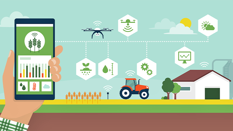 Innovación en el sector agroalimentario