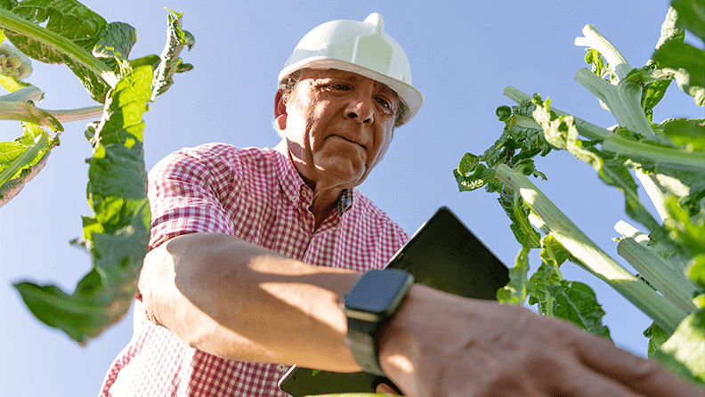 Agricultor toma anotaciones en cuaderno digital