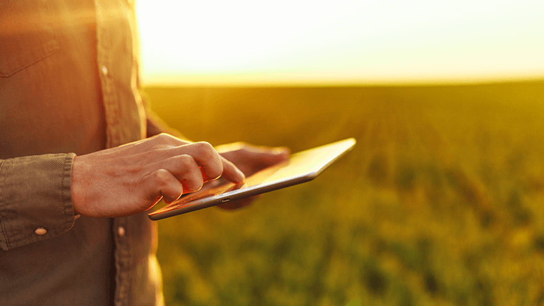 Primer plano de las manos de un joven agricultor sosteniendo una tablet y comprobando el progreso de la cosecha