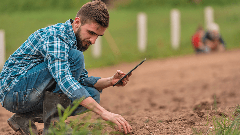 Uso de tecnología en campo