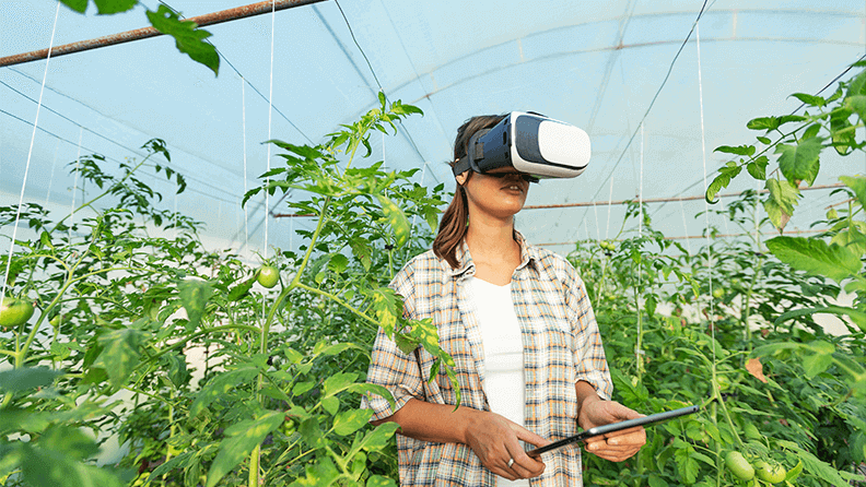 Agrónomo usando gafas de realidad virtual en invernadero