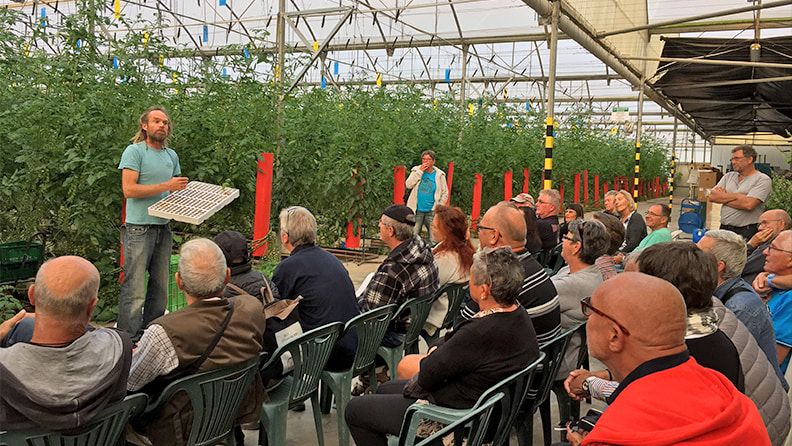 Visita guiada a invernadero de Clisol Agro en Almería