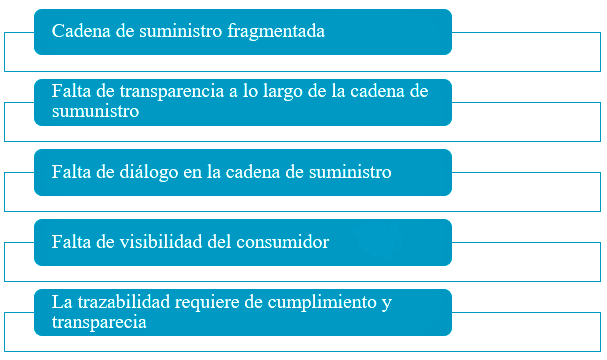 Fuente: Estudio 1 | Observatorio de la Digitalización del Sector Agroalimentario Español. 