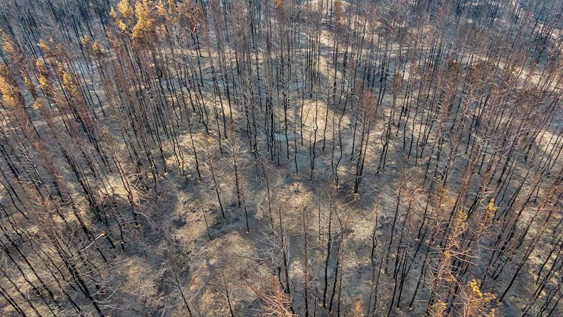 Ola de calor en España, consecuencias y efectos de los incendios